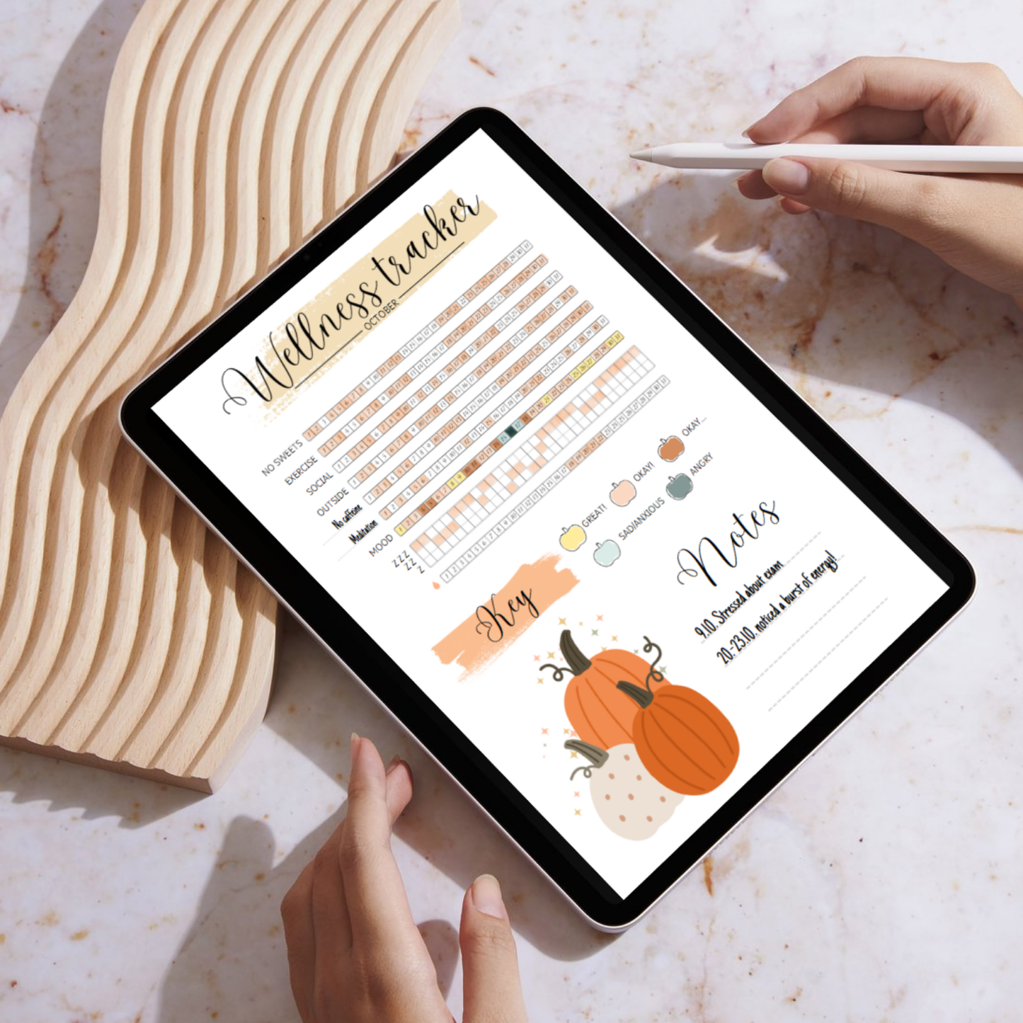 The Wellness Diary (Digital version)