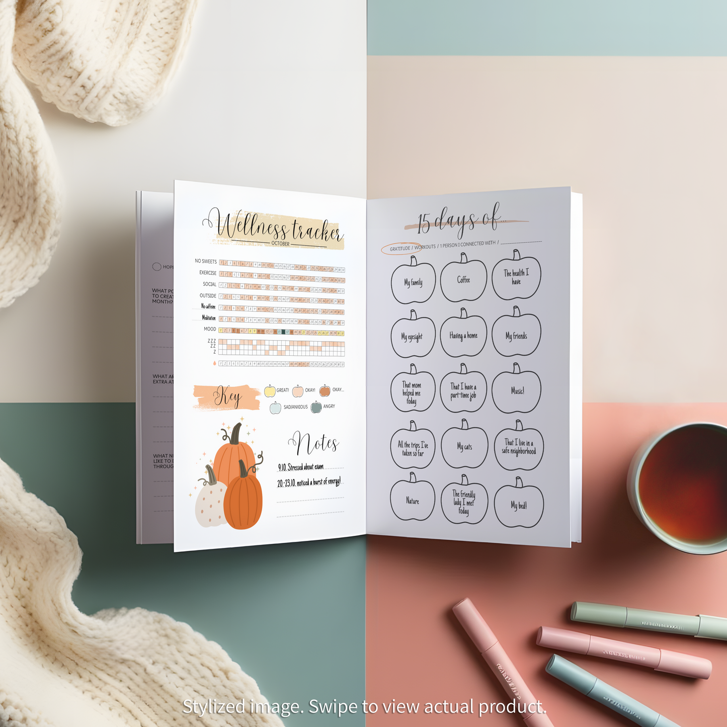 The Wellness Diary (Paperback)