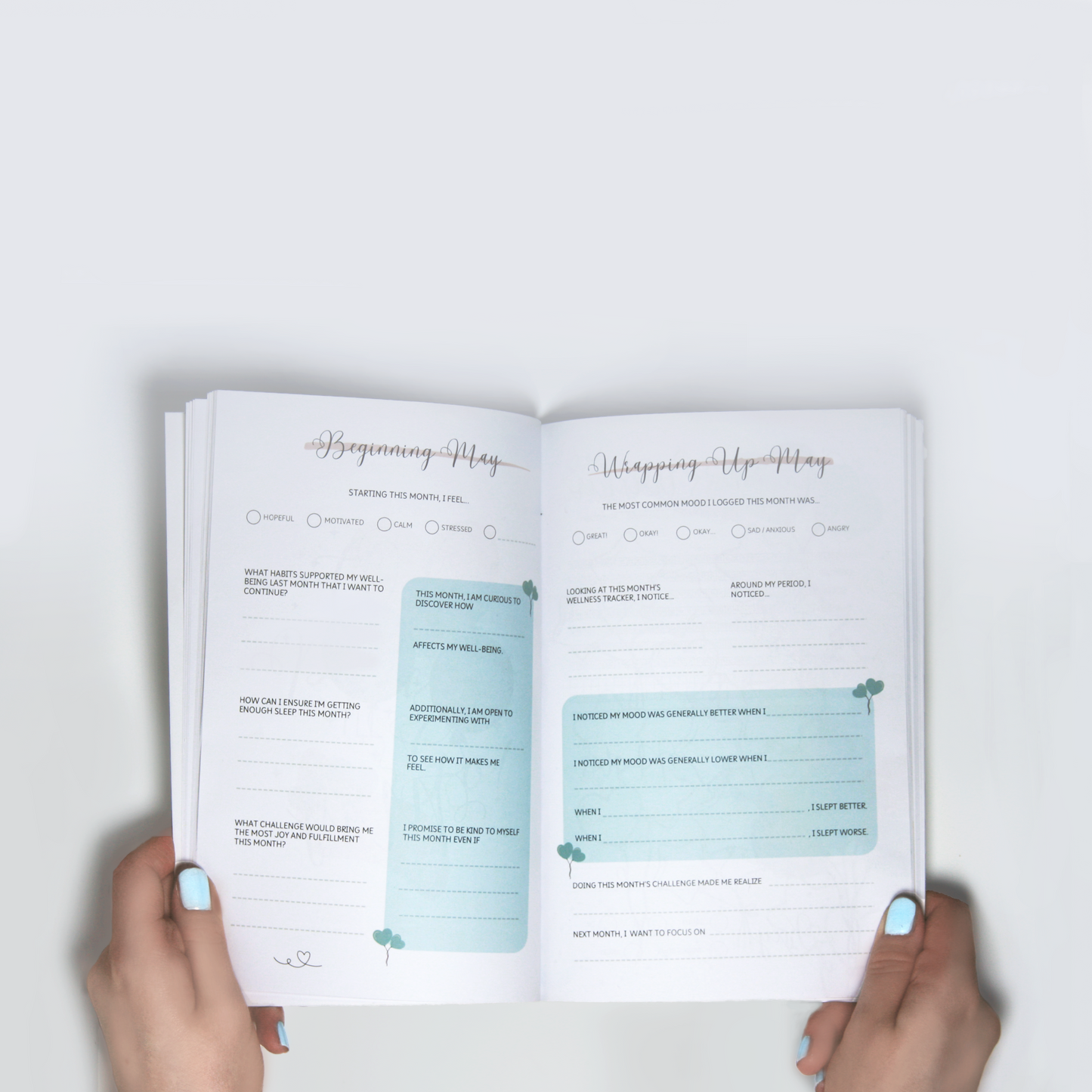 The Wellness Diary (Paperback)