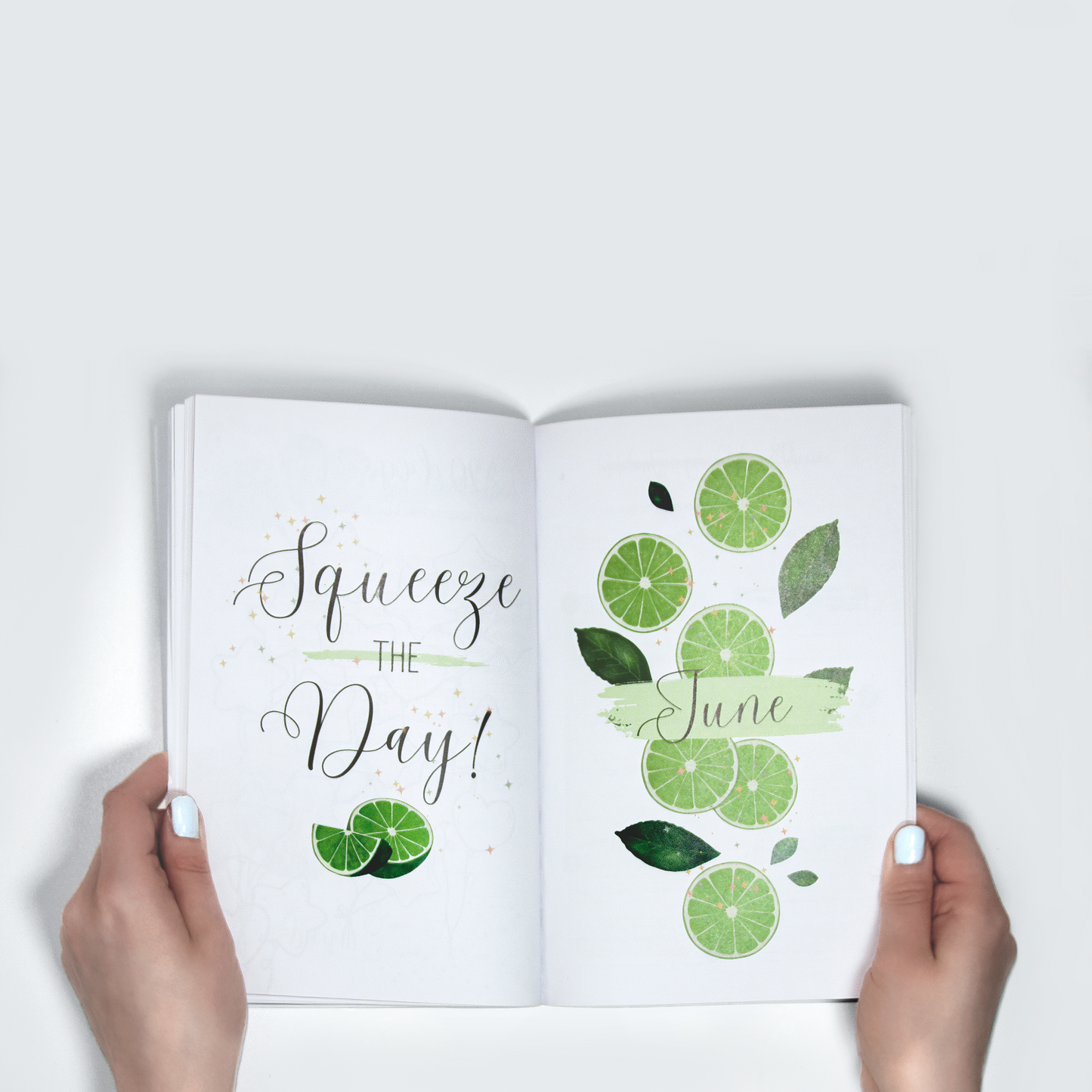 The Wellness Diary (Paperback)